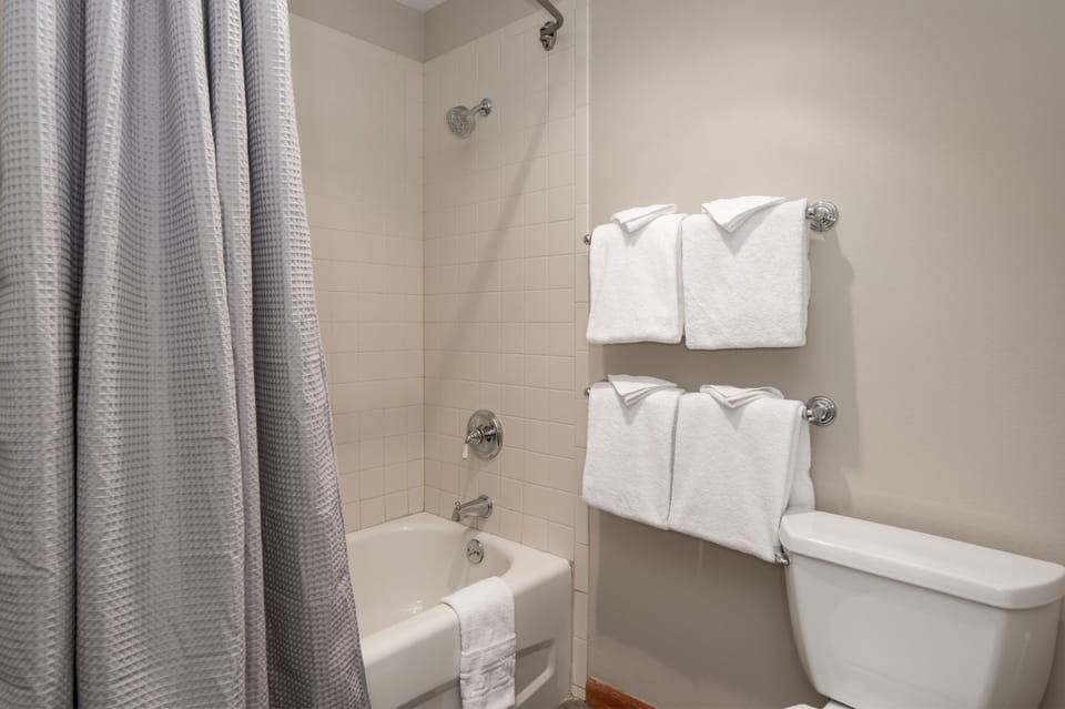 Sink, Sink Faucet, Bathtub, Tub, Indoors
