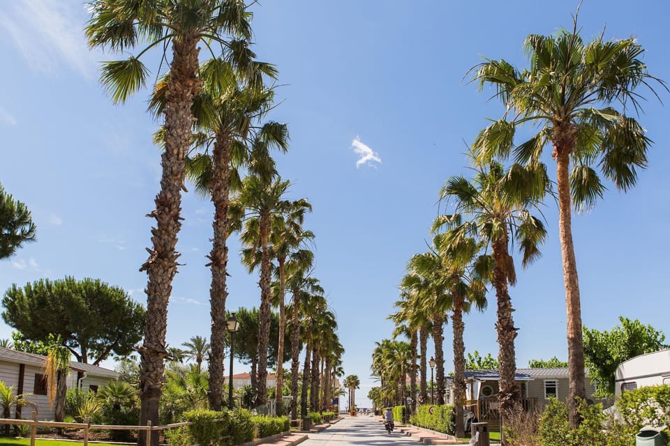 Surroundings [summer] (1-5 km)
