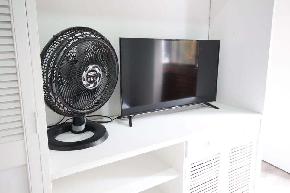Television