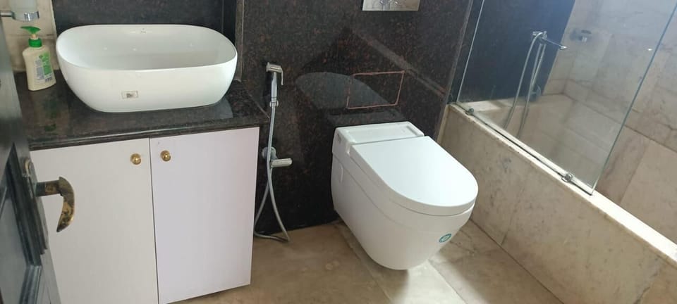 Shower, towels, soap, toilet paper