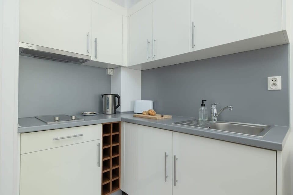 Kitchenette with an induction hob, refrigerator with freezer, steam absorber and electric kettle.