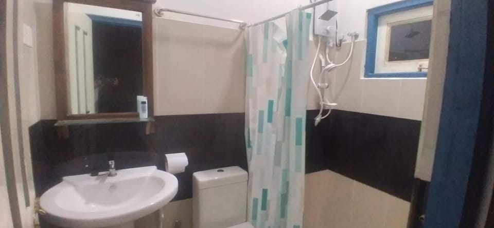 Shower, towels, soap, toilet paper