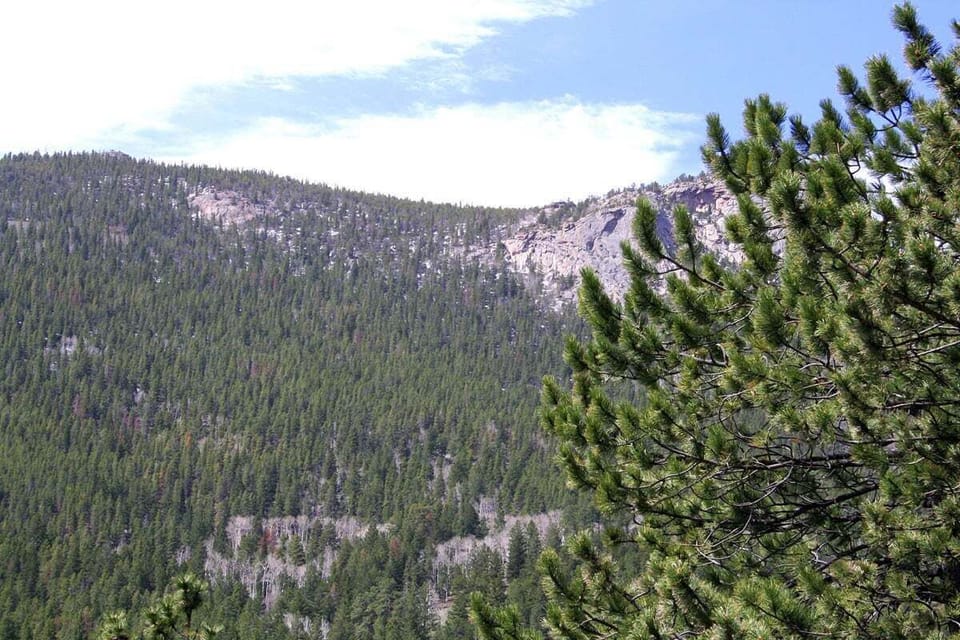 View from Deck