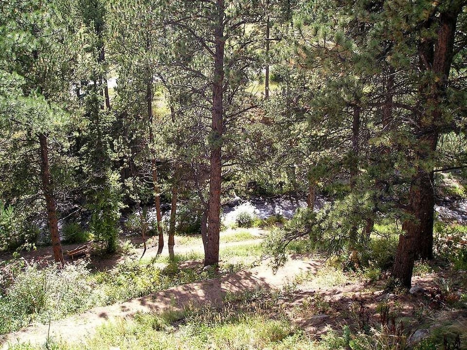 River View from Deck