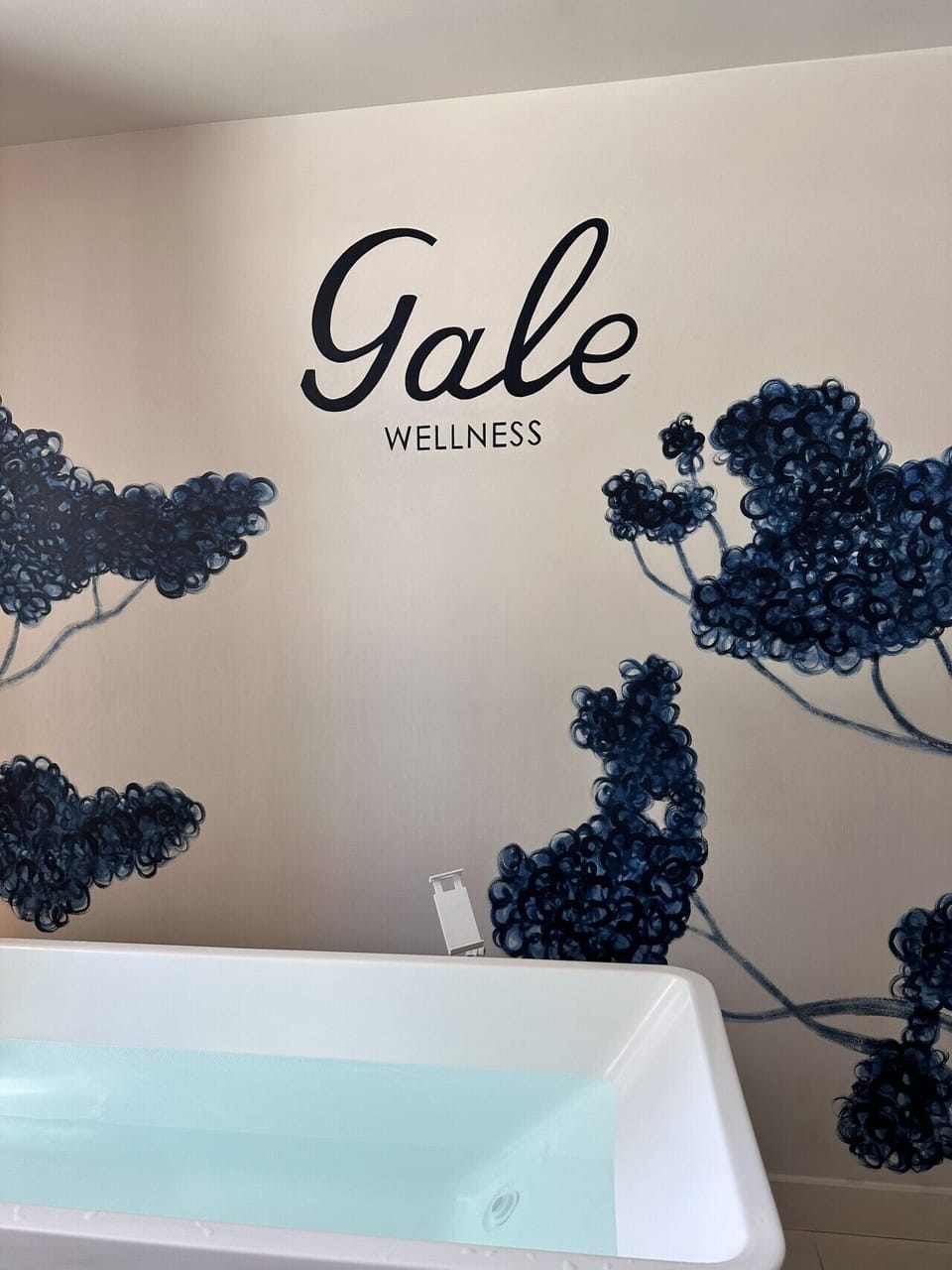 Indulge recharge and unwind, treat yourself to an incredible spa experience with sauna, steam room, cold plunge, massages, and rejuvenating facial therapies vacation is the perfect time to spoil yourself