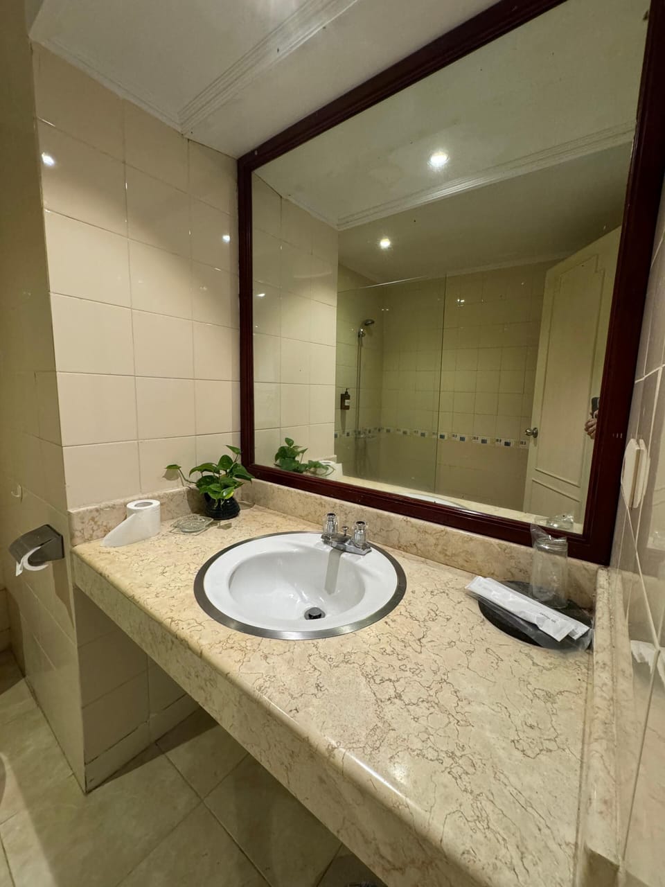 Superior Double or Twin Room, Balcony, Mountain View | Bathroom | Shower, towels, soap, shampoo