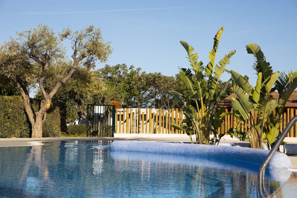 Holiday Home Swimming Pool