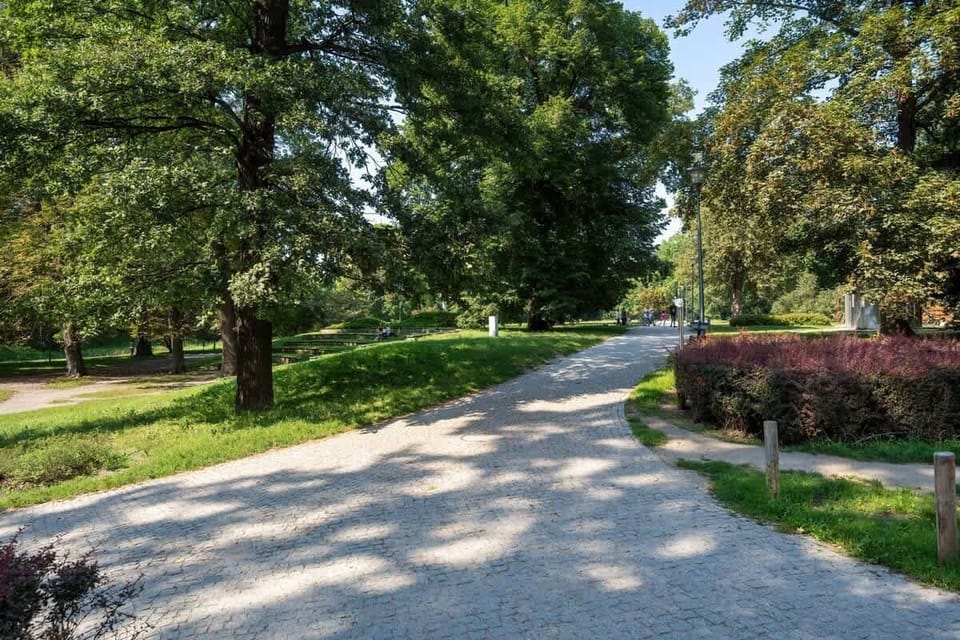 Surrounding trees and greenery, with paved area.