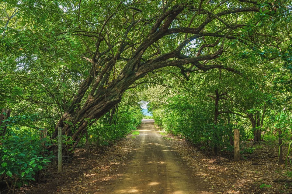 Stunning way to the beach.