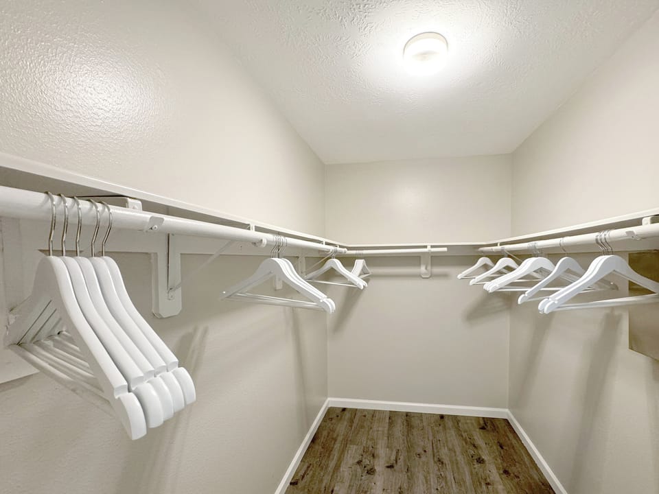 Walk-in closet in master bedroom