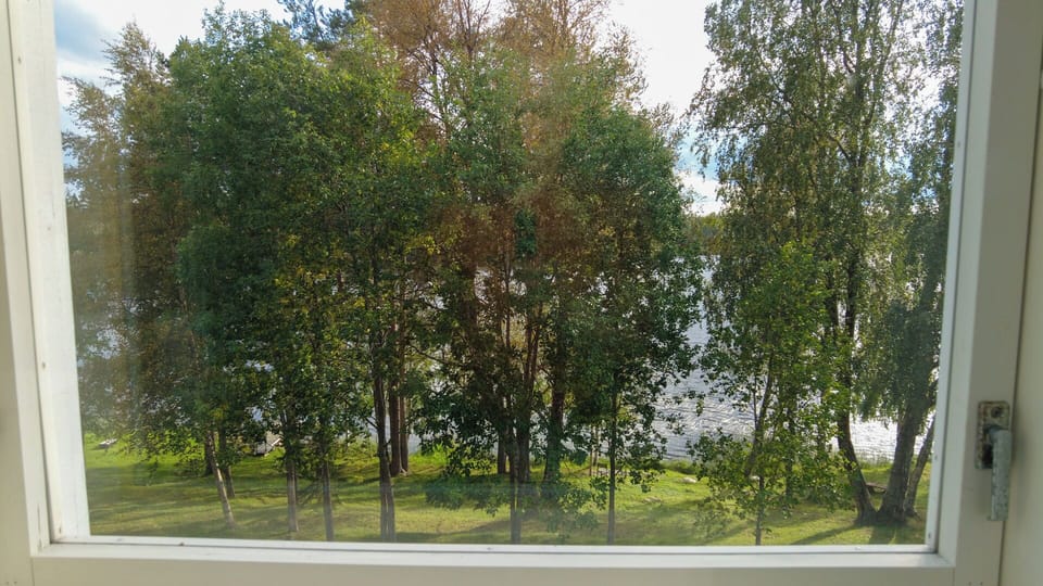 Window view 1