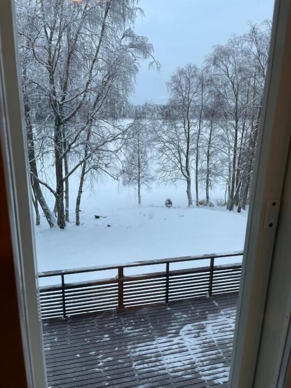 Window view