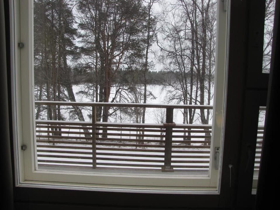 Window view
