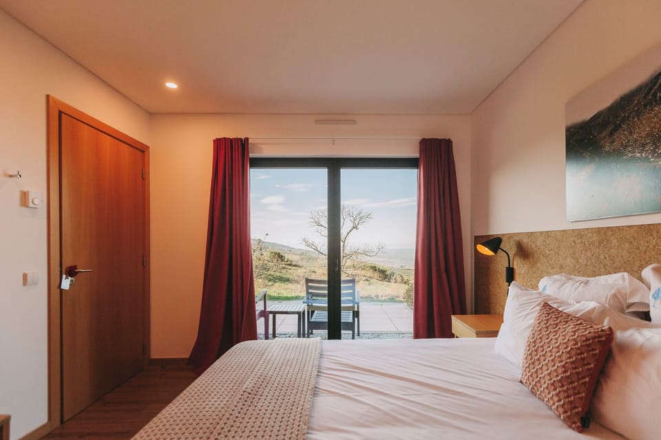Premium Double Room, Terrace | Minibar, desk, laptop workspace, free WiFi