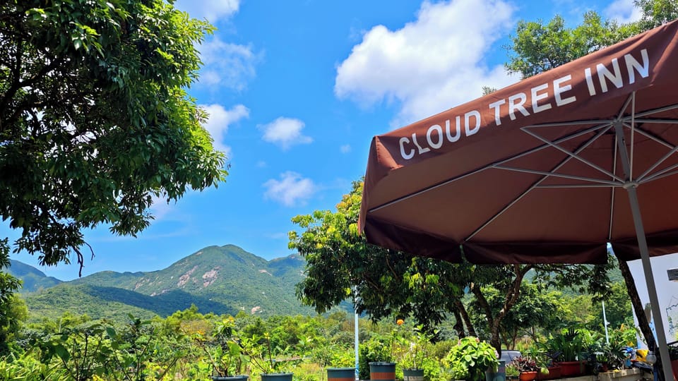 Classic Double Room, Mountain View | Courtyard view
