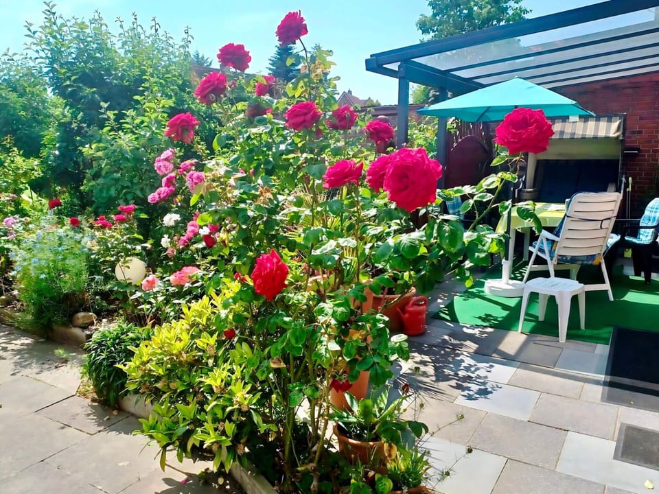 Apartment | Garden