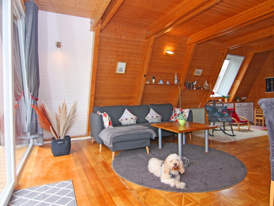 House | Living area