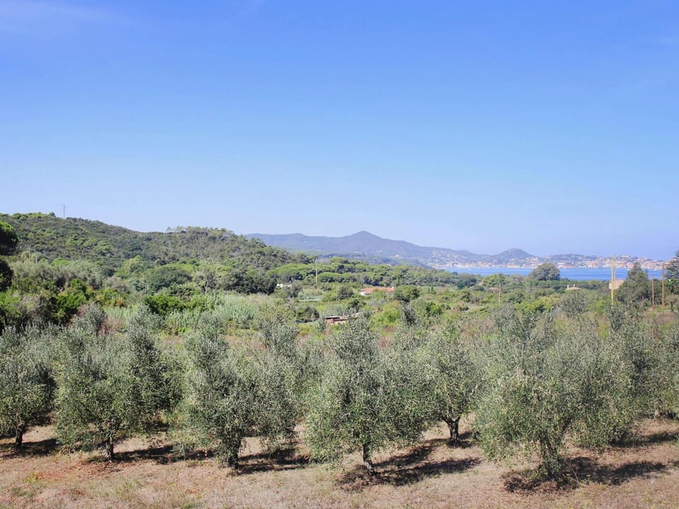 House | View from property