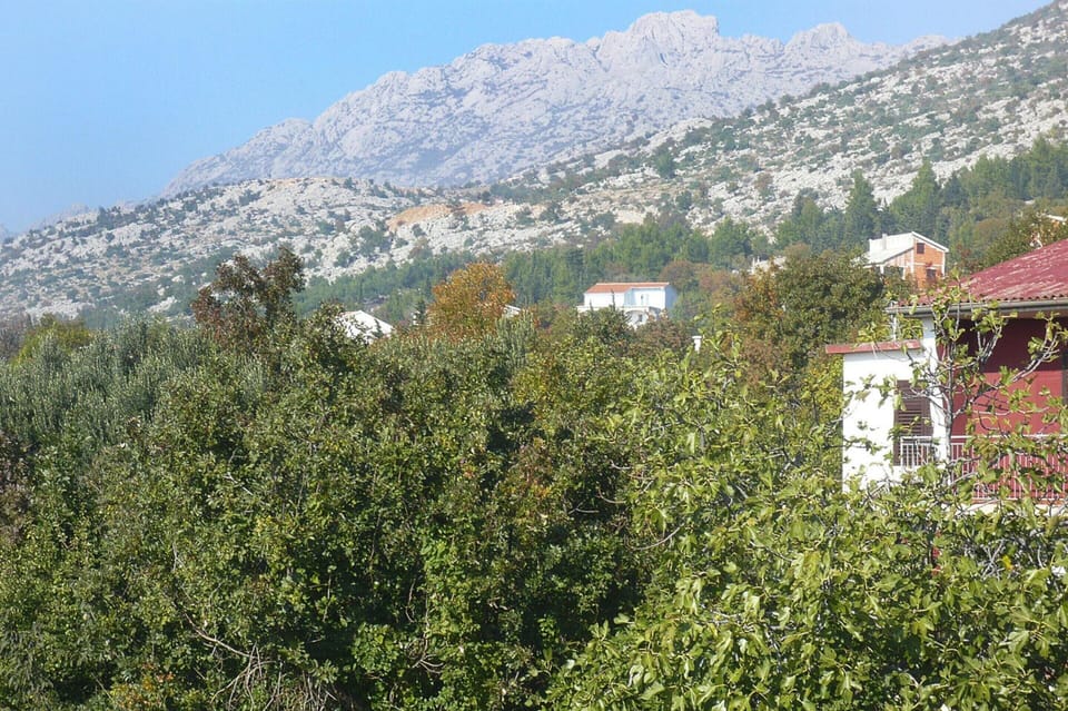 Apartment | View from property