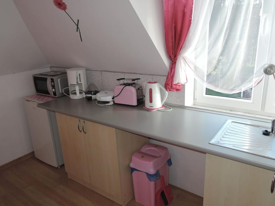 Apartment | Private kitchen | Electric kettle, toaster