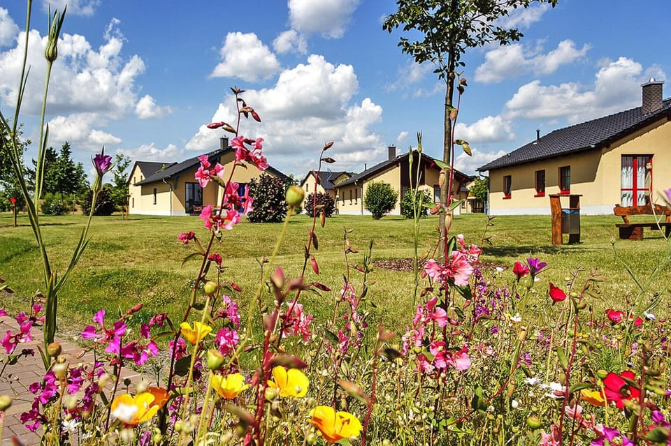 House | Garden