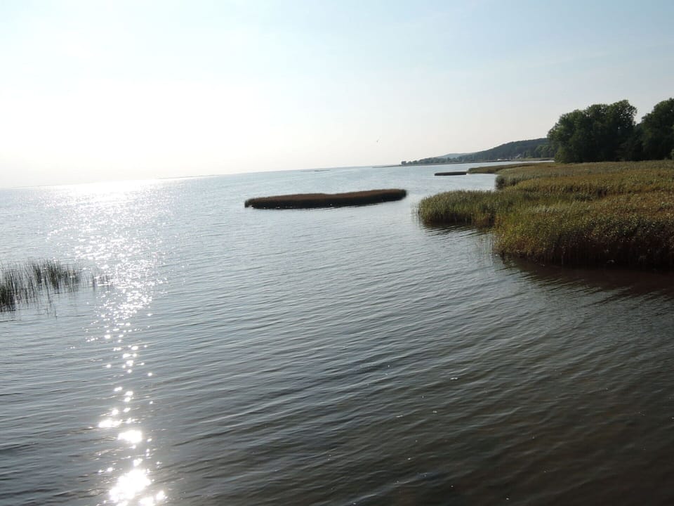 Apartment | Beach | Beach nearby, fishing