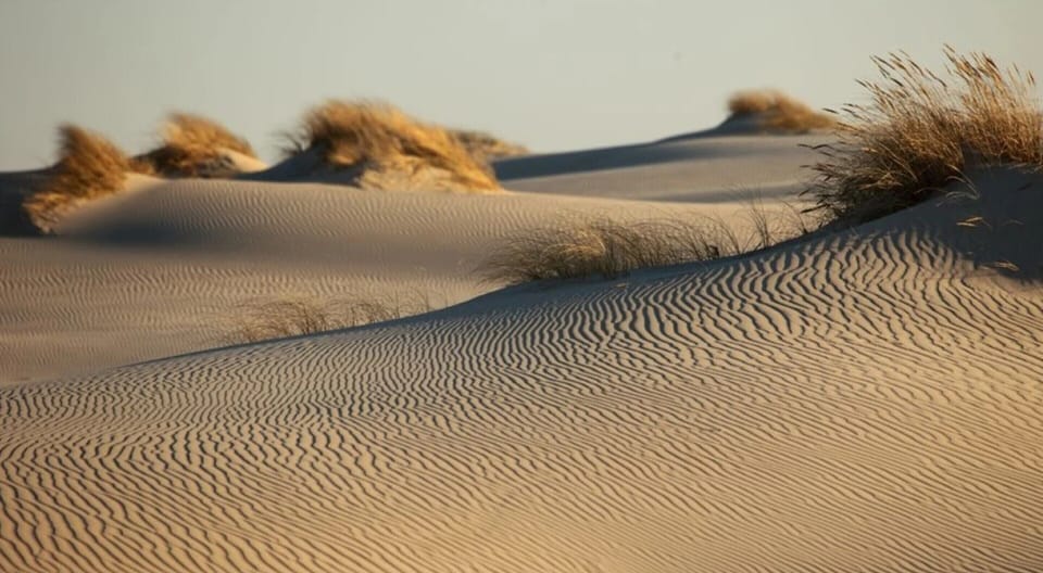 House | View from property