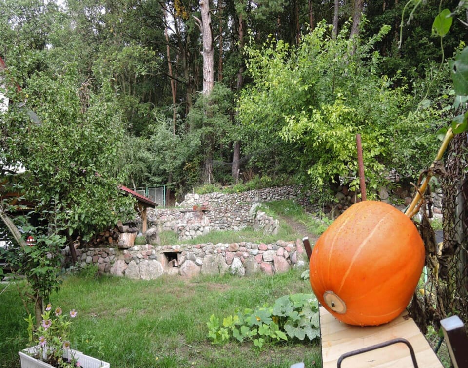 House | Garden