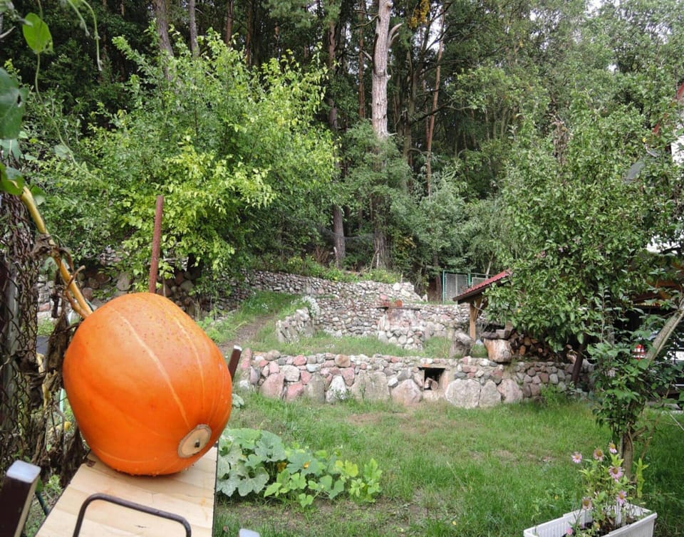 House | Garden