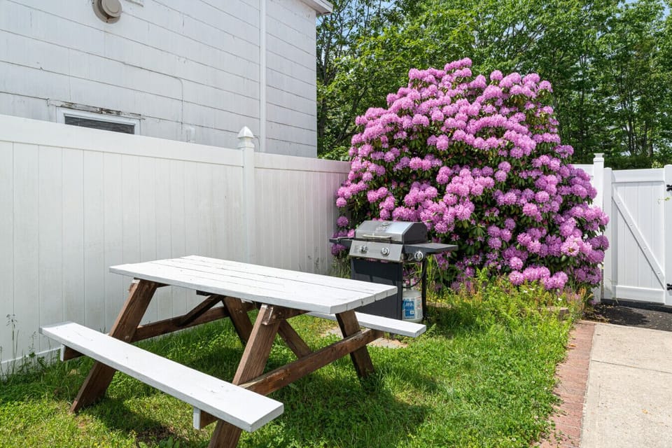 Picnic Area