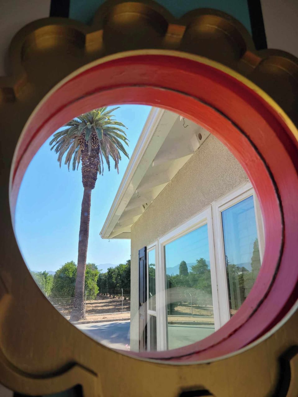 Views from every window across the street from a 120 year old orange grove