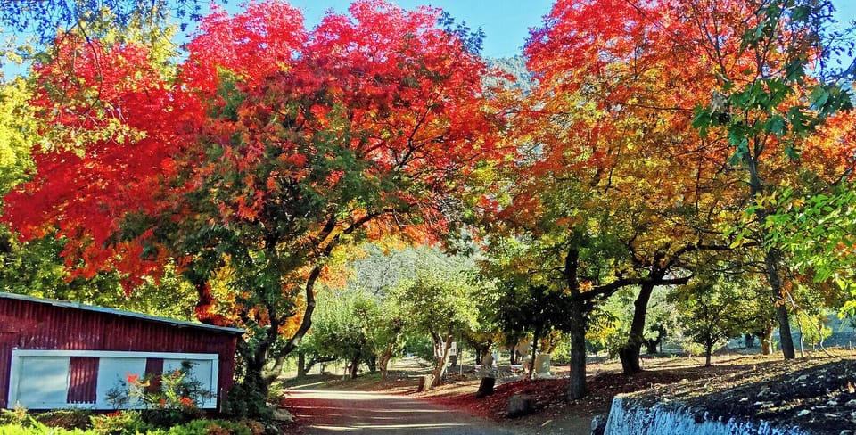 Rent in the fall for your Oak Glen Apple Picking or Live Oak Pumpkin Patch