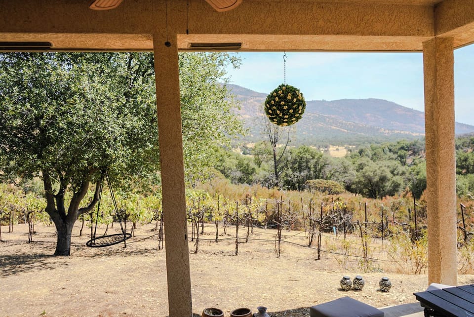 **View from the covered porch.**