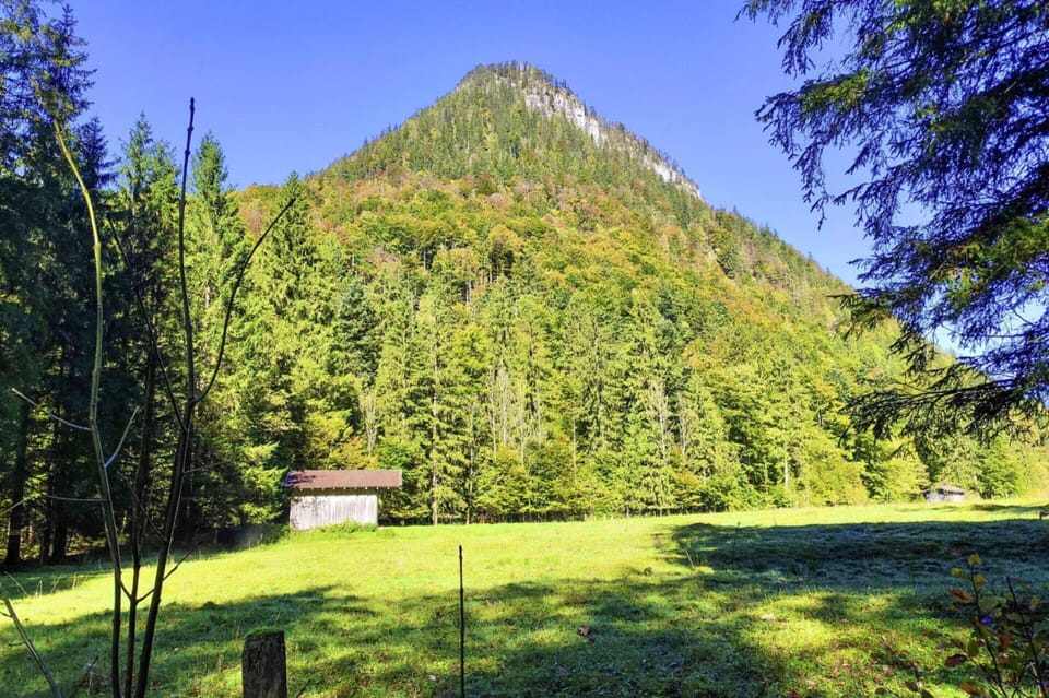Chalet | View from property