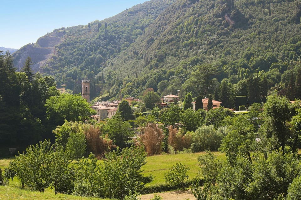 House | View from property