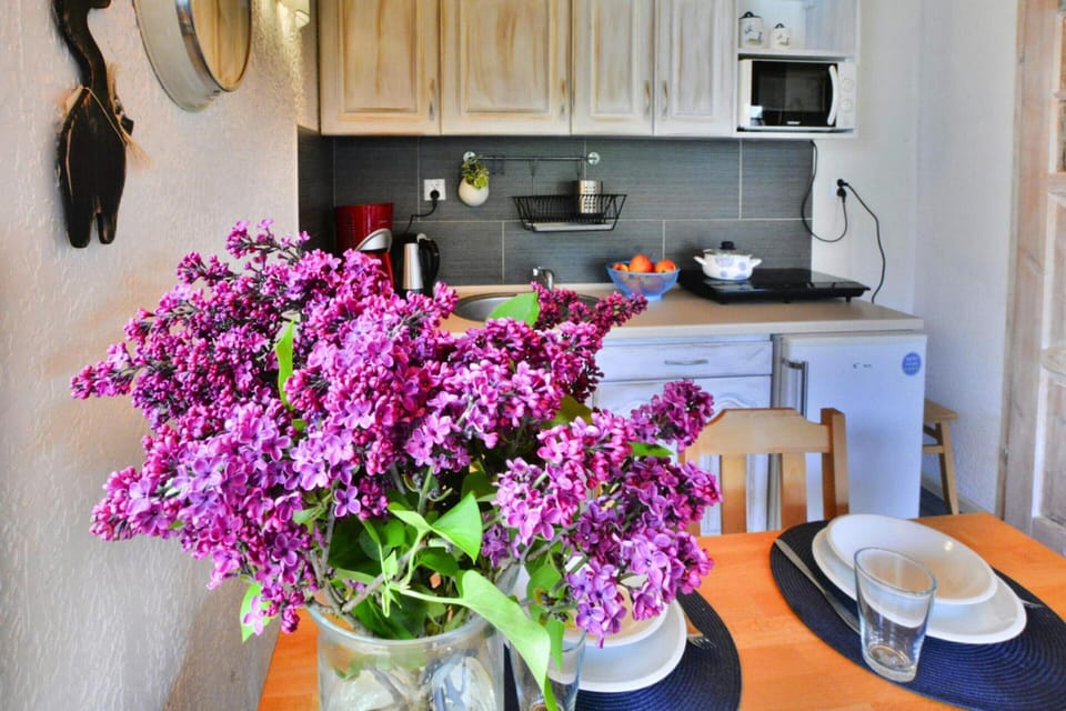 House | Private kitchen | Electric kettle, toaster, highchair