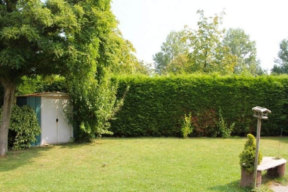 Garden [summer]