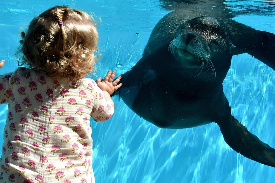 Ambiance / Close-up