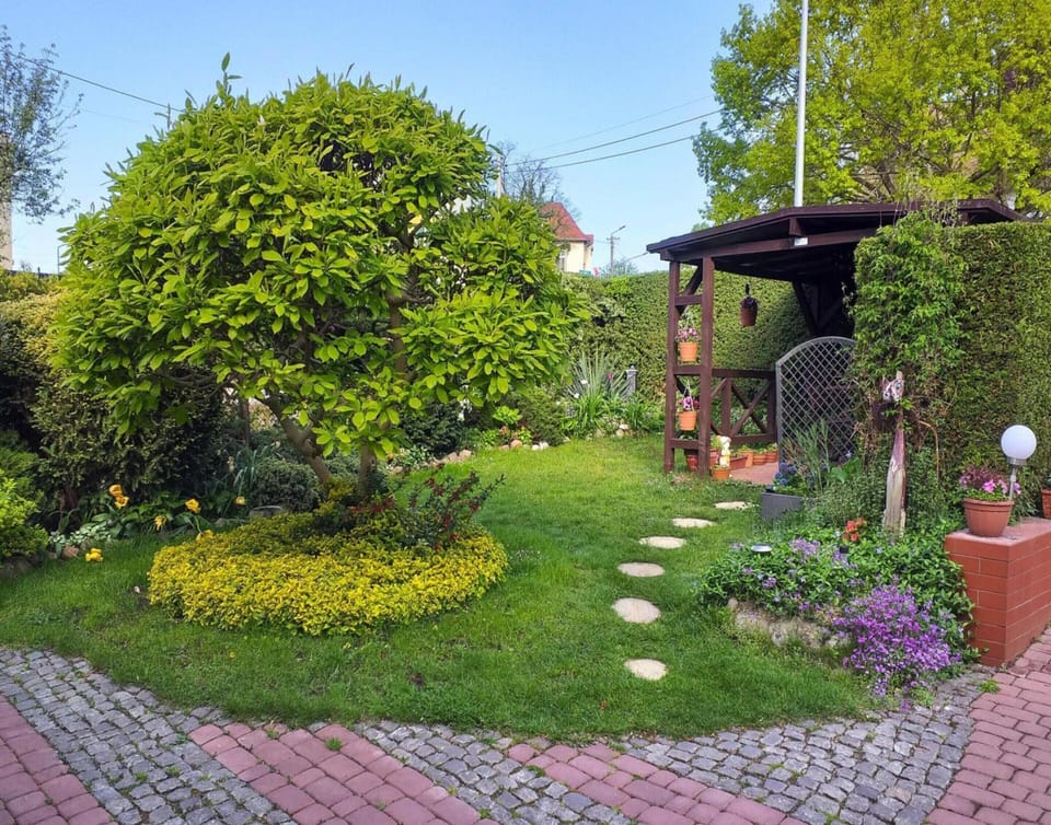 Apartment | Garden