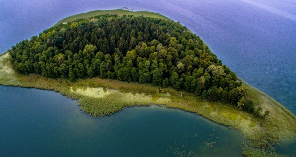 House | View from property