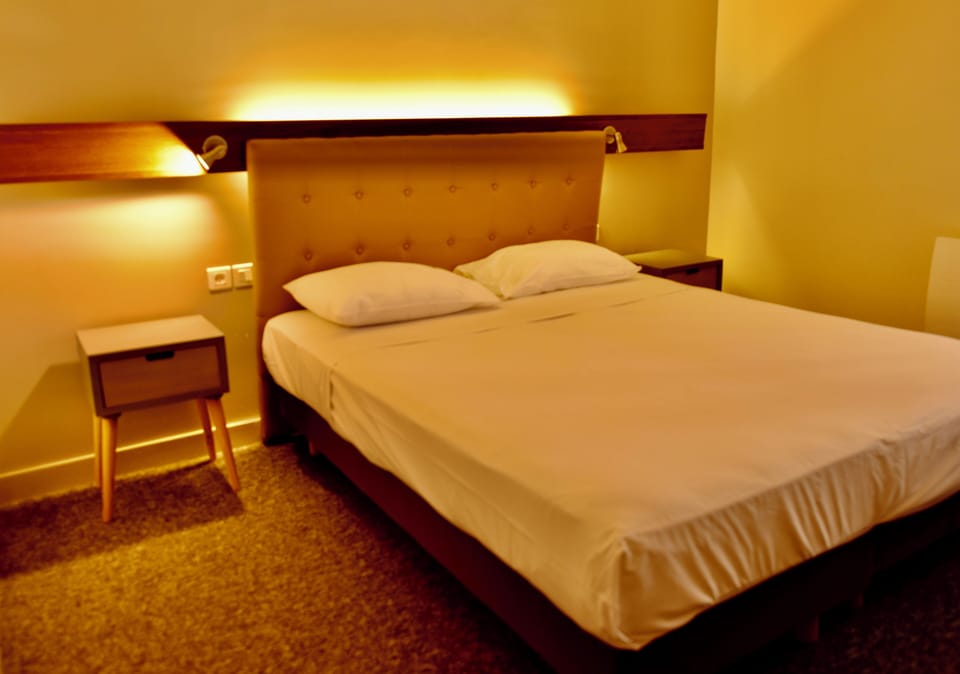 Standard Double Room Single Use | Desk, free WiFi