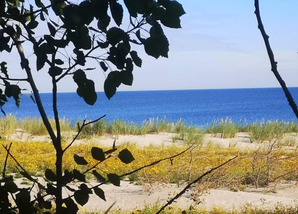 Reihenhaus mit Wlan in Buchholz am Muritzsee House in Mecklenburgische Seenplatte