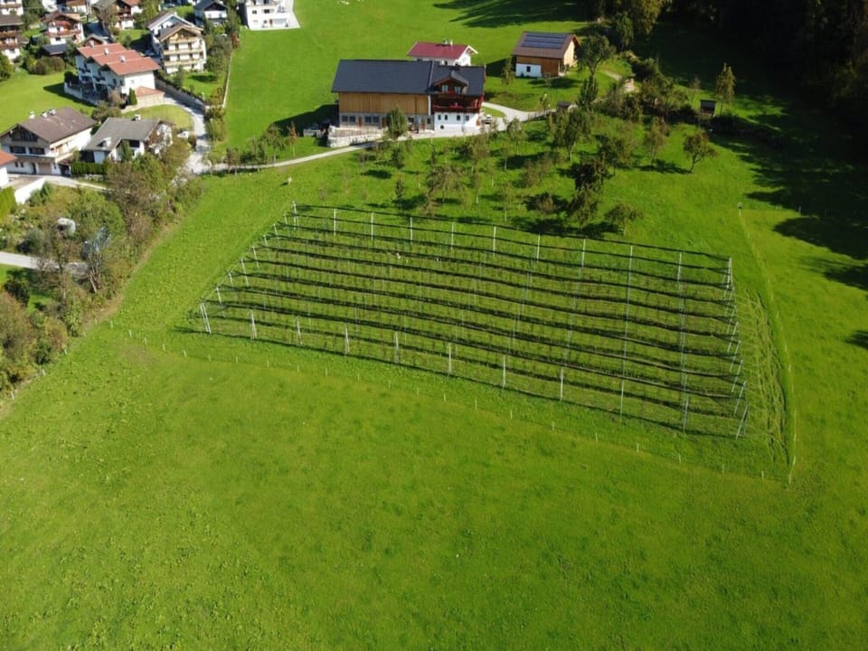 House | View from property