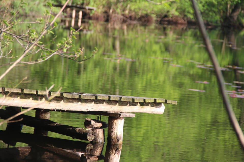 Apartment | View from property