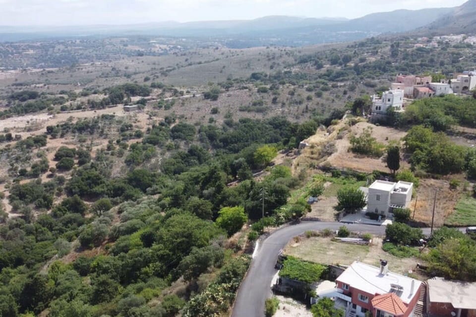 House | View from property