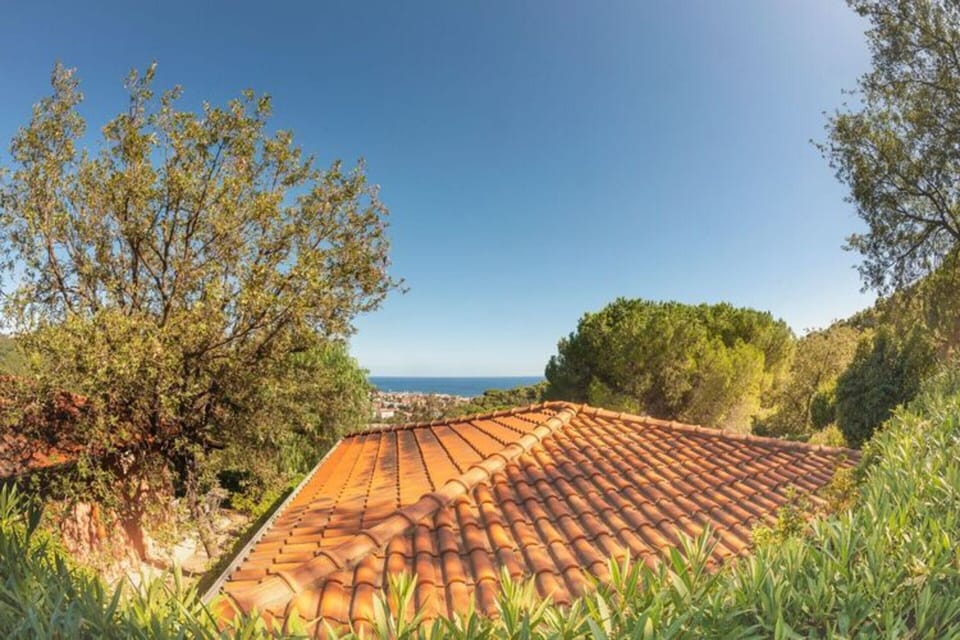 Bungalow | Exterior