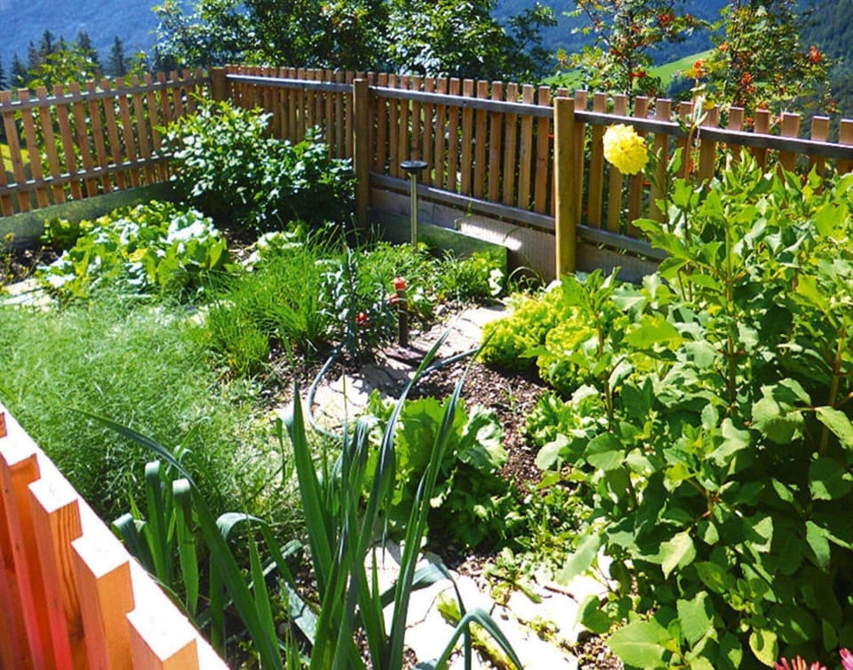 Apartment | Garden
