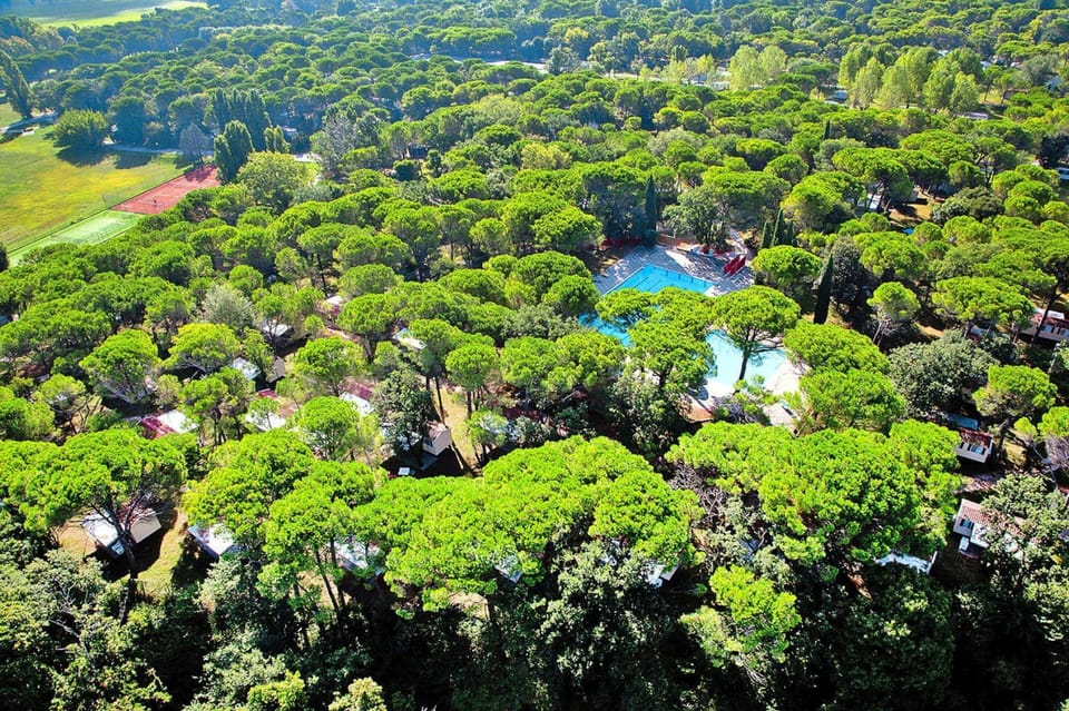 Bungalow | View from property