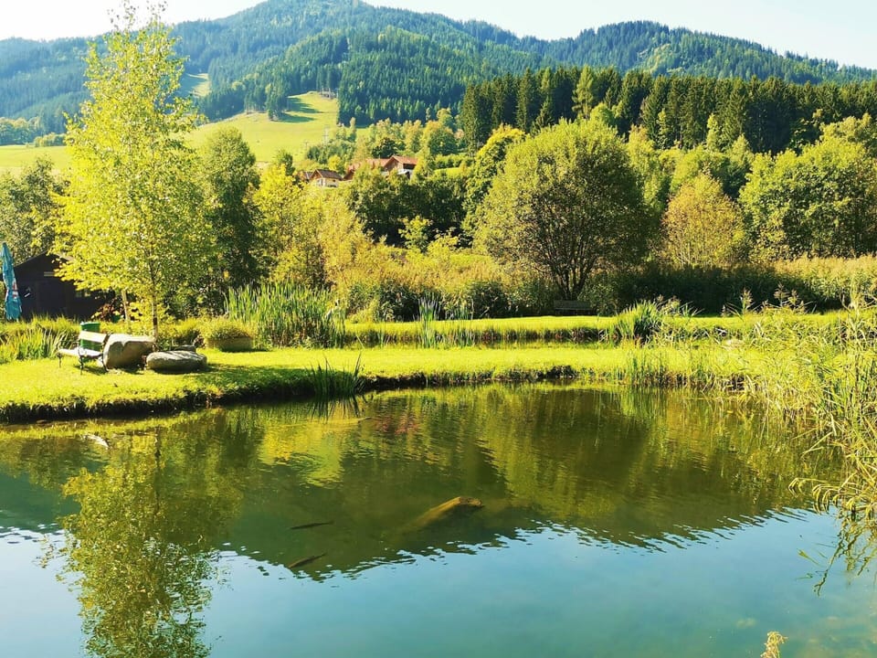 Chalet | View from property
