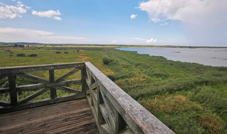 House | View from property